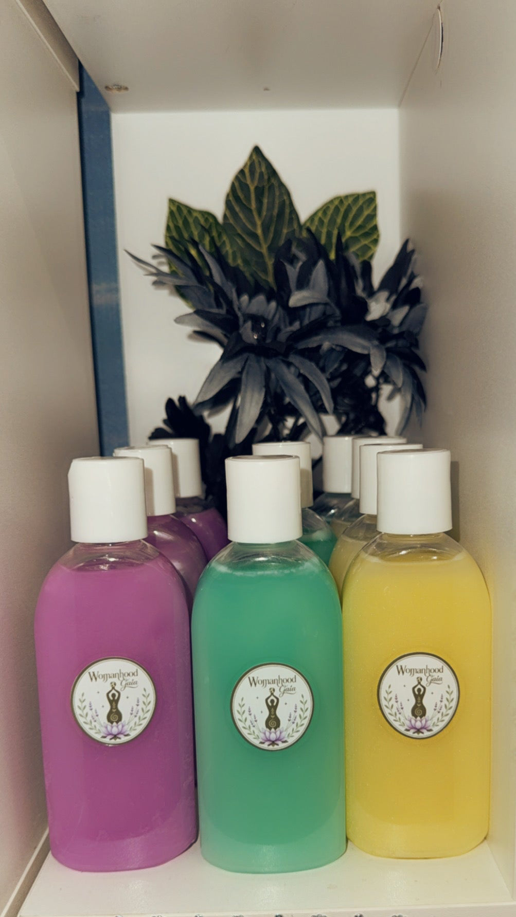 Eucalyptus Travel size body wash